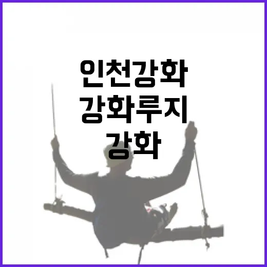 인천 강화루지, 스릴과 자연의 완벽 조화