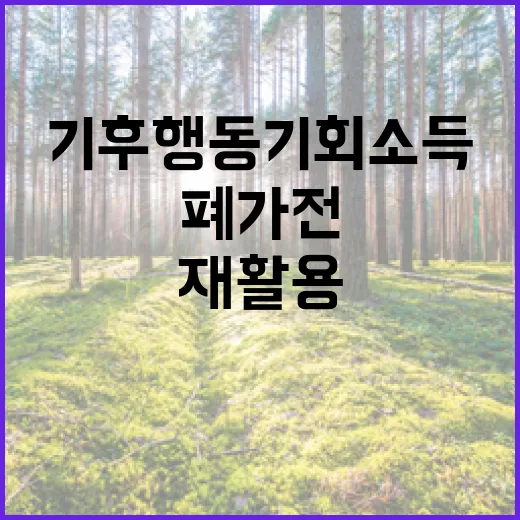 폐가전·재활용 보상 확대, 경기도 기후행동 기회소득