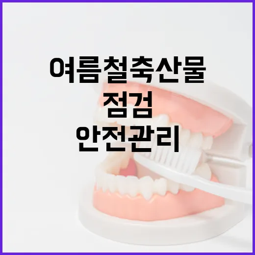 여름철 축산물 안전관리 대대적 점검