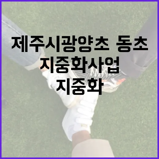 제주시 광양초·동초 통학로 지중화 사업 본격화