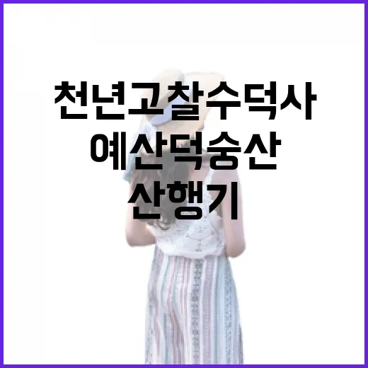 예산 덕숭산과 천년고찰 수덕사 산행기