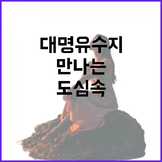 대명유수지에서 만나는 도심 속 자연의 숨결