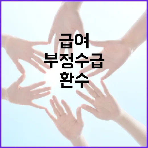 부정수급 1042억 환수, 생계·주거급여 집중