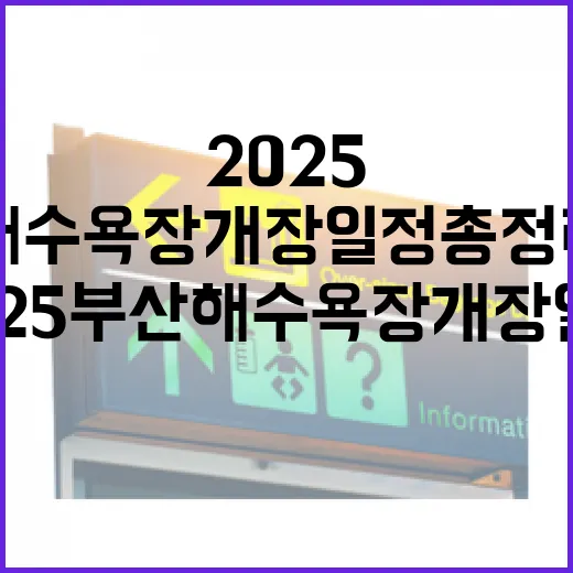 2025 부산 해수욕장 개장 일정 총정리