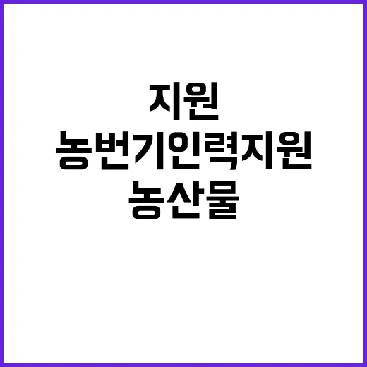 농번기 인력 지원 …
