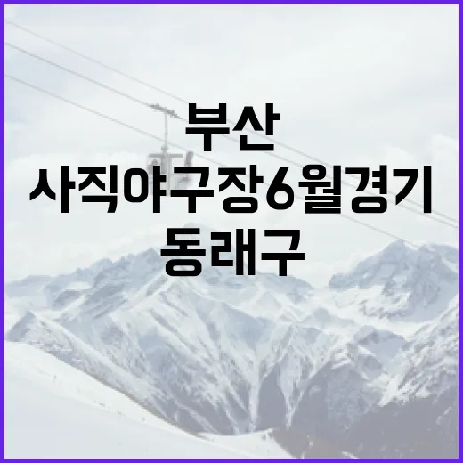 부산 사직야구장 6월 경기와 동래구 맛집