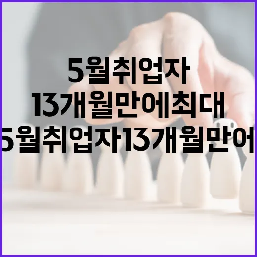 5월 취업자 13개월 만에 최대 증가세