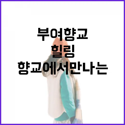부여 향교에서 만나는 전통과 힐링