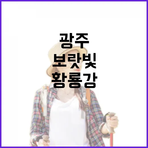 광주 황룡강 보랏빛 버들마편초 만개
