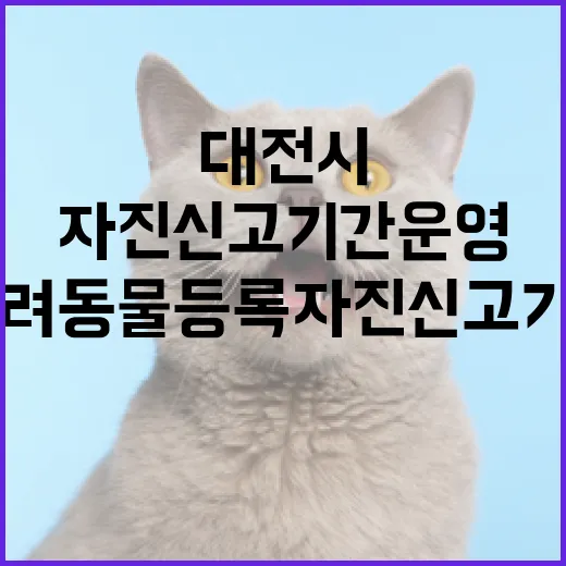 대전시 반려동물 등록 자진신고 기간 운영