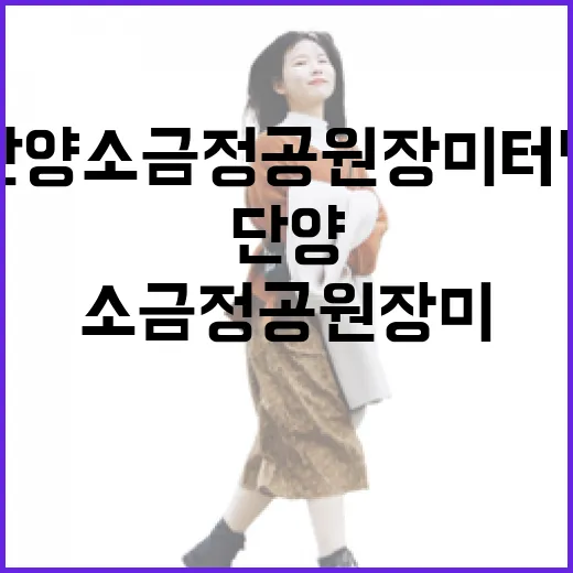 단양 소금정공원 장미 터널의 매력