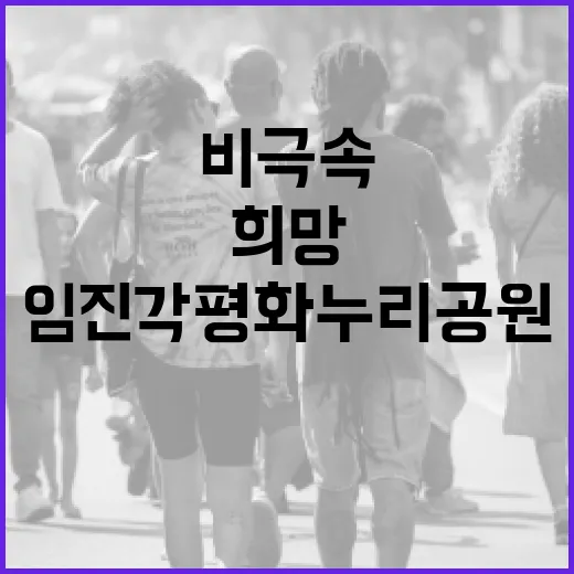 임진각 평화누리공원, 비극 속 희망의 상징