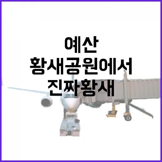 예산 황새공원에서 만난 진짜 황새