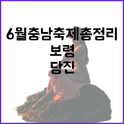 6월 충남 축제 총정리, 보령부터 당진까지