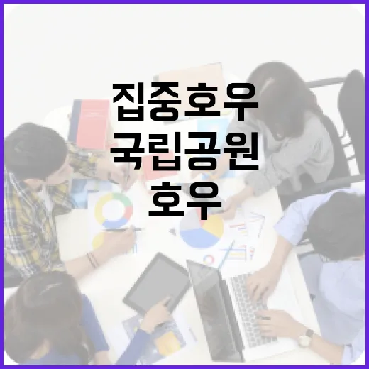 국립공원 집중호우 50분 전 대피 방송 확대