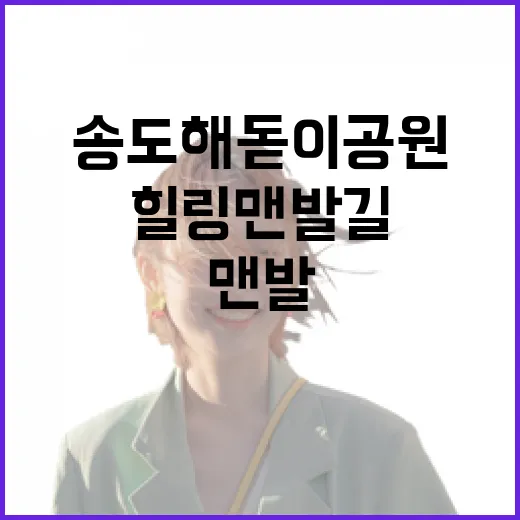 송도 해돋이공원 장미 만개와 힐링 맨발길