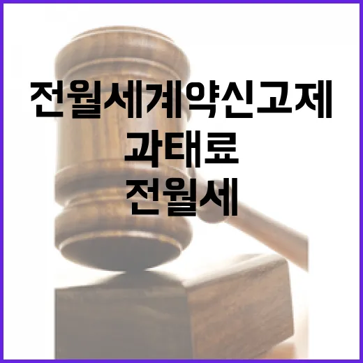 전월세 계약 신고제, 과태료 주의보
