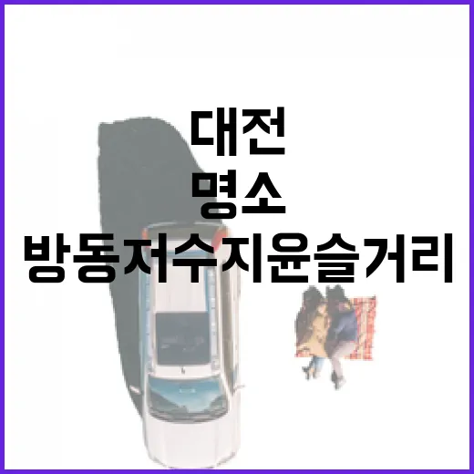 대전 방동저수지 윤슬거리 산책 명소