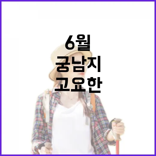 6월 궁남지, 고요한 연꽃의 쉼터
