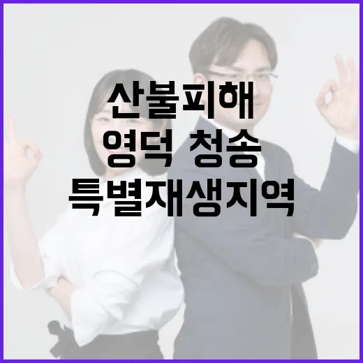 영덕·청송 산불피해 특별재생지역 지정