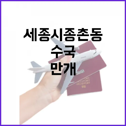 세종시 종촌동 제천뜰근린공원 수국 만개 풍경