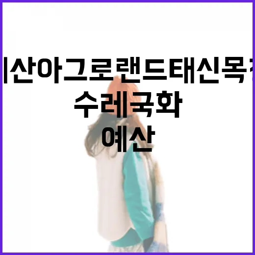예산 아그로랜드 태신목장 수레국화 만개