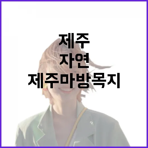 제주마방목지, 자연과 조랑말의 평화로운 만남
