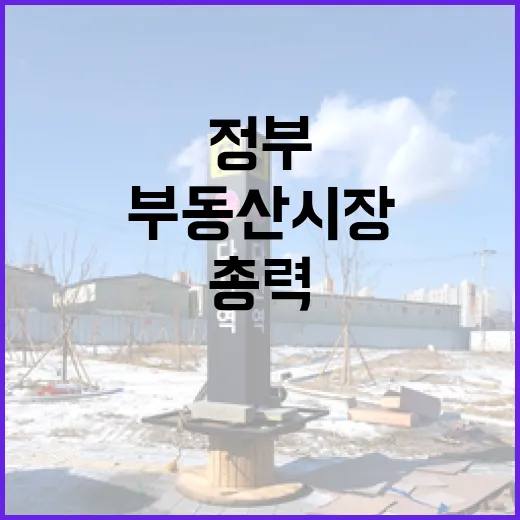 정부, 부동산 시장 안정 위해 총력 대응