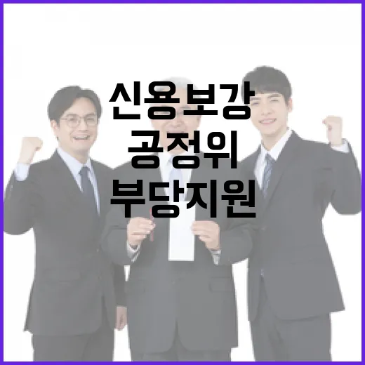 공정위, 신용보강 부당지원 논란 명확히 해명
