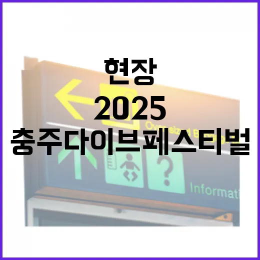 충주 다이브 페스티벌 2025 현장 풍경