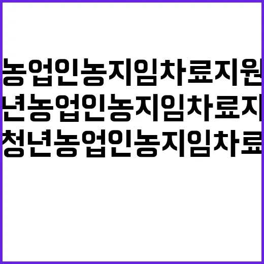 청년농업인 농지 임…