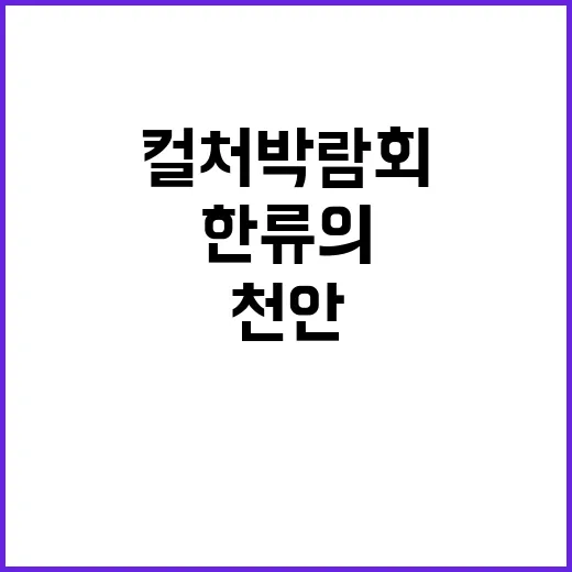 천안 K-컬처 박람회, 한류의 진수 체험