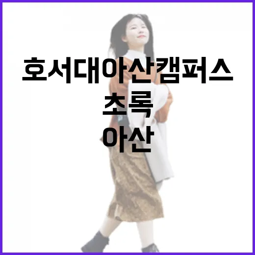 호서대 아산 캠퍼스 초록 산책길