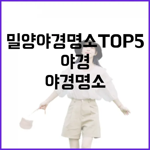 밀양 야경 명소 TOP5 완벽 가이드