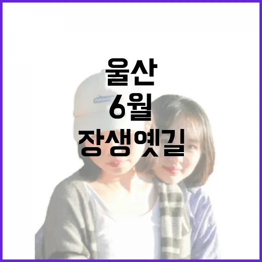 울산 장생옛길 6월의 산책