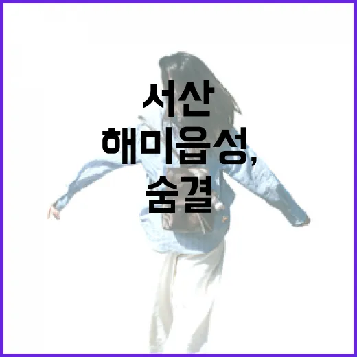 서산 해미읍성, 역사의 숨결을 만나다