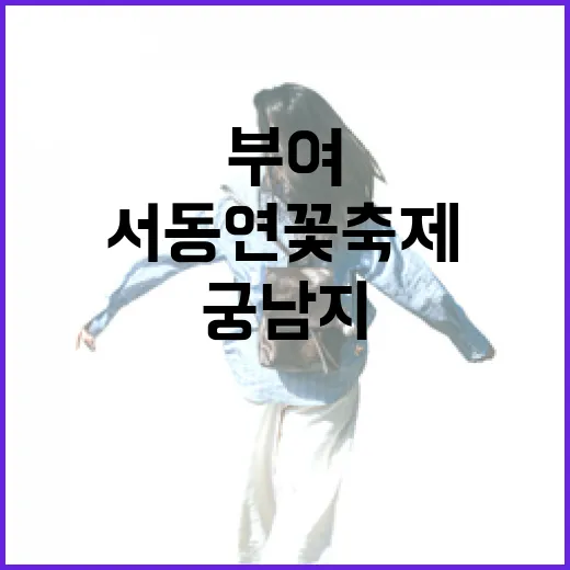 부여 궁남지에서 만나는 서동 연꽃축제