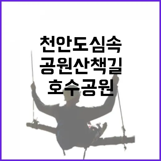 천안 도심 속 두 호수공원 산책기