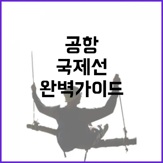대구공항 국제선 편의시설 완벽 가이드