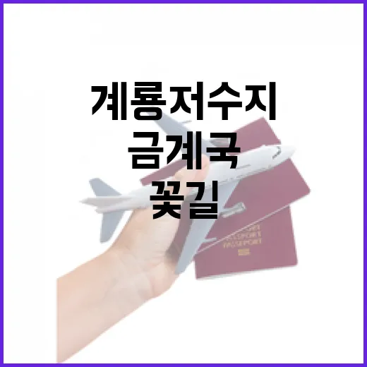 계룡저수지 금계국 꽃길, 초여름의 황금빛 산책
