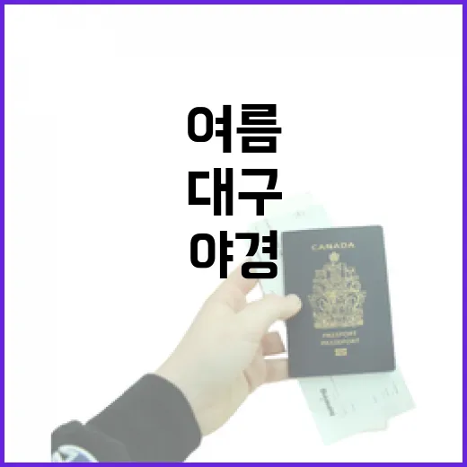 대구 앞산 케이블카에서 만나는 여름밤 야경