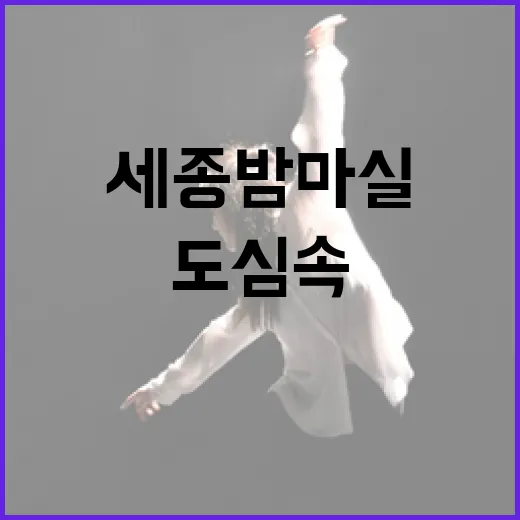 세종 밤마실, 도심 속 특별한 6월의 밤