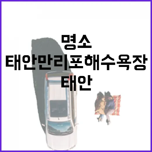 태안 만리포해수욕장, 여름 힐링 명소
