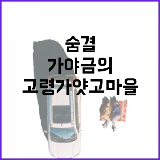 가야금의 숨결 고령 가얏고마을 체험기