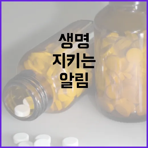 호우 긴급재난문자, 생명 지키는 필수 알림
