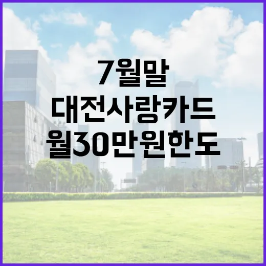 대전사랑카드 7월말 출시, 월 30만원 한도
