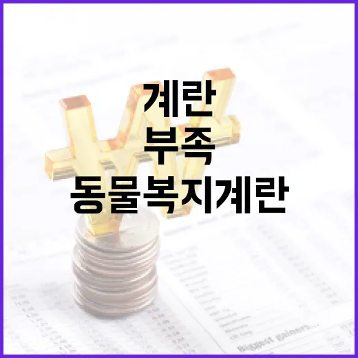 계란 공급 안정, 동물복지계란 일시 부족