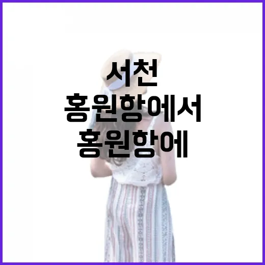 서천 홍원항에서 만나는 제철 갑오징어와 바다의 풍경