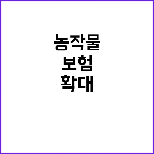노지 오이·시설 깻…