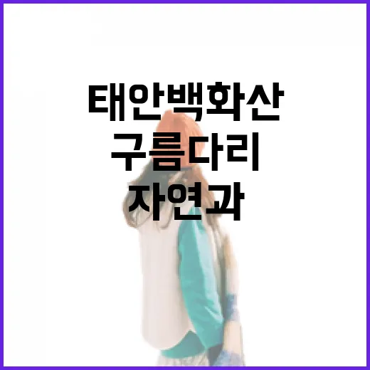 태안 백화산 구름다리, 자연과 감성 잇는 명소